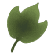 016