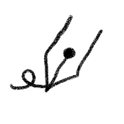 026