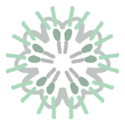 020
