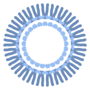 021