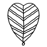 036