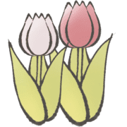 036