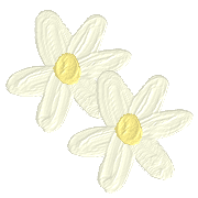 005
