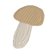 038