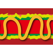 005