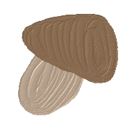 023