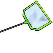 036