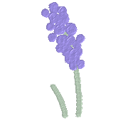 026