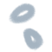 004