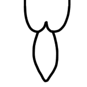033
