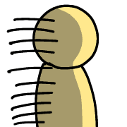 006