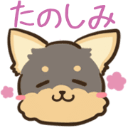 016