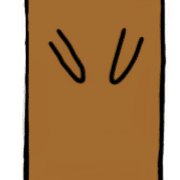 031