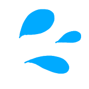 009
