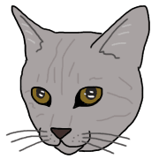 013