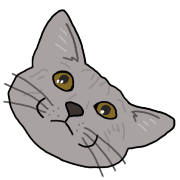 031