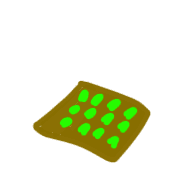 010