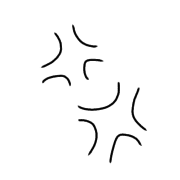 017