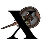 024