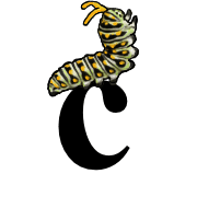 029