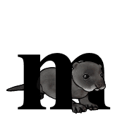 039