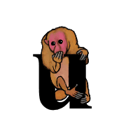 047