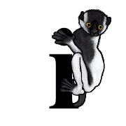 117