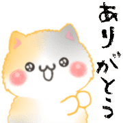 009