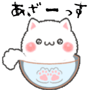 010