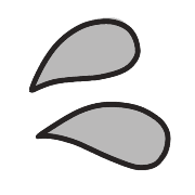 025