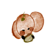 005