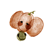 006