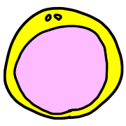 029
