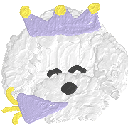 019