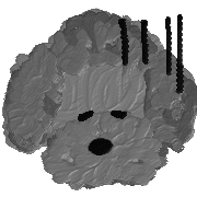 021