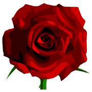 004