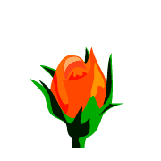 017