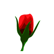 019