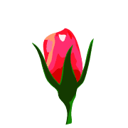 024
