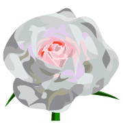 025