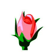 026