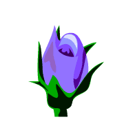 027