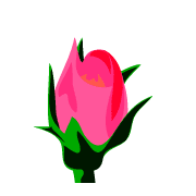 028
