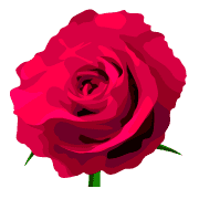 029