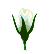 034