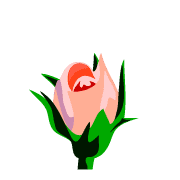 037