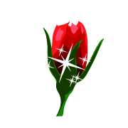 039