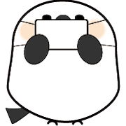 017