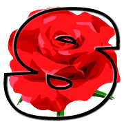 019