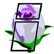 035